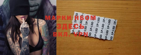 прущие грибы Кукмор