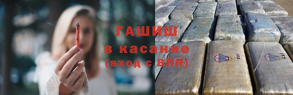 прущие грибы Кукмор