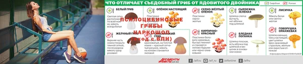 дмт Всеволожск