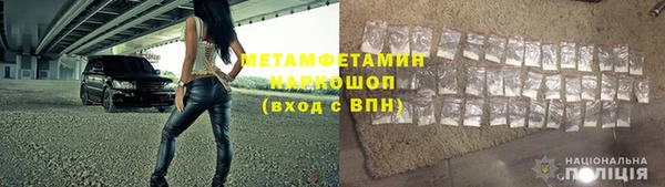 прущие грибы Кукмор