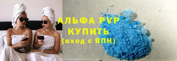прущие грибы Кукмор