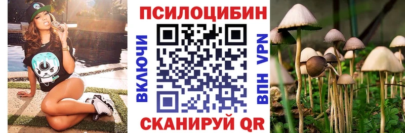 Псилоцибиновые грибы мицелий  наркота  это официальный сайт  Курильск 