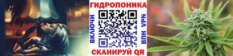 Марихуана тримм  Курильск 